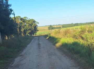 Campo · 4ha · Venta Chacra de 3,5ha Ruta 8 Km.42 Empalme Olmos