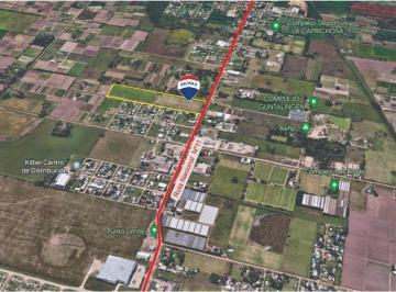 Terreno · 45000m² · Complejo Deportivo en Alquiler Sobre Ruta 11