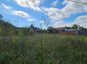 FAE-FAE-773_2 · Lote. | Velez Sarfield Al 200