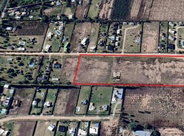 Terreno · 29600m² · Terreno en Rama Caída con Todos Los Servicios