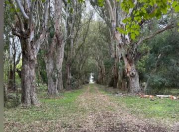 Campo de 10 ambientes, Brandsen · Venta Campo 78 Has Brandsen Casa Colonial 900 m² Pileta Silos Corrales