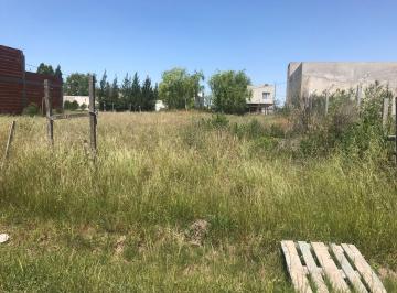 Terreno , La Plata · 2 Lotes Baldios