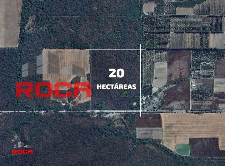 Terreno · 20ha