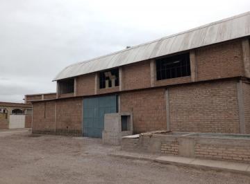 Bodega-Galpón · 8000m² · Se Alquila Galpón en Maipú, Mendoza