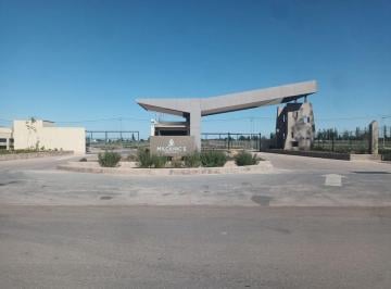 Terreno · 500m² · Venta Lote Barrio Privado Milcayac II - Maipu.