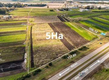 Campo · 50000m² · Venta 5 Ha Sobre Ruta 88