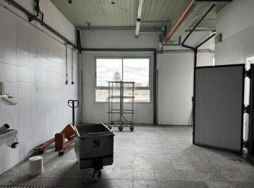Bodega-Galpón · 450m² · Galpón Frigorífico en Tablada
