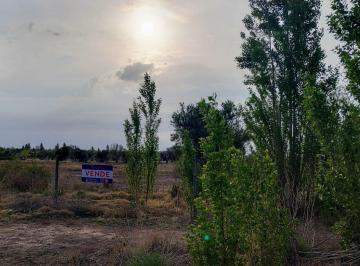Terreno · 7700m² · Terreno en Venta en Callejon La Virgen Vistalba