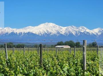 Campo · 2000000ha · Finca en Agrelo