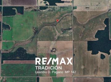 Campo · 100ha · Campo Agricola en Venta - 100has Colonia J. Marmol
