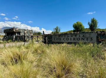 Terreno · 10000m² · Terreno en La Carrera Tupungato