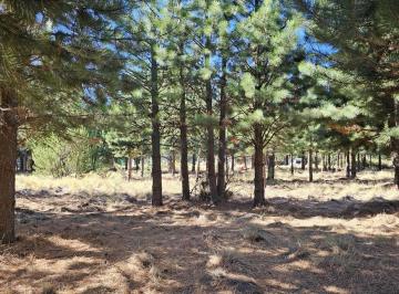 Terreno · 1148m² · Lote en Dos Valles Financiado