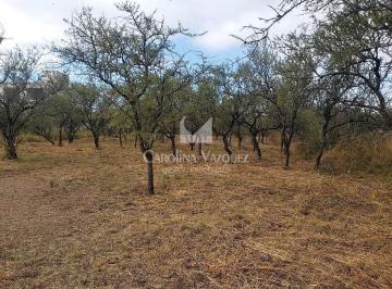 Foto · Venta de Terreno - Mendiolaza Golf