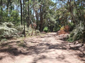 Terreno , Cariló · ¡Oportunidad! Cariló Lote de 976 m²