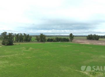 Campo · 1400000m² · Campo con Mejoras y Arboleda en Mercedes