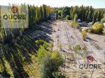 Terreno · 9800m² · Hectárea en Venta 9.600 m² en Plottier