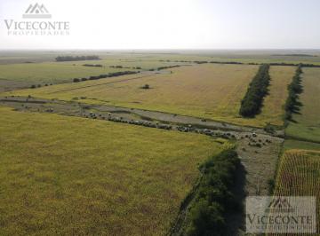 Campo , Chascomús · Campo 57ha Chascomús, Partido de Chascomús, Provincia de Buenos Aires.