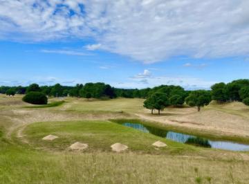 Terreno · 1000m² · Terreno en Venta - 1000 m² - Villa Robles, Pinamar