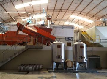 Campo · 15000ha · Venta de Bodega, Alto Verde, San Martin, Mendoza