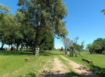 Terreno · 780000m² · Venta Campo en Baradero 78 Ha