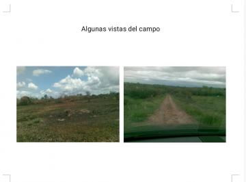 Campo · 133m² · Campo Venta 133 Ha Concordia Entre Rios Villa Adela