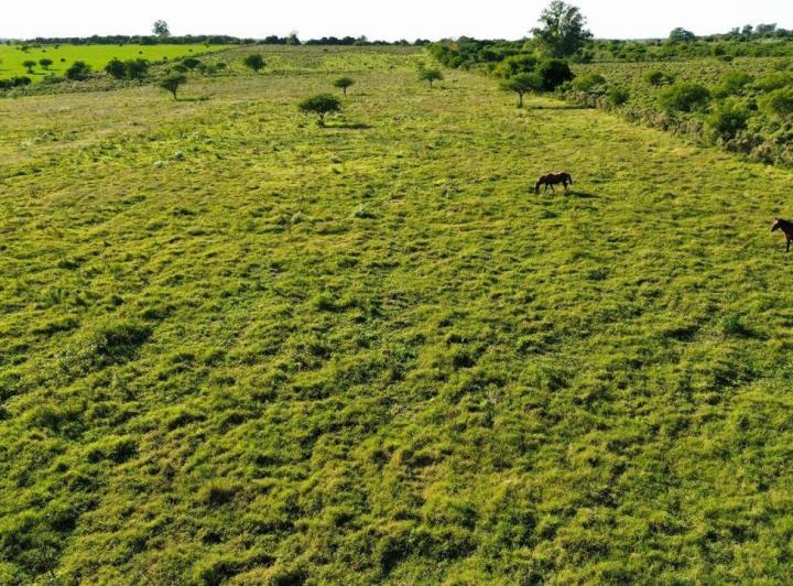 Terreno · 10000m²