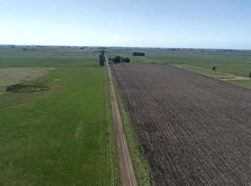 Campo · 4150000m² · Campo en Mar del Plata