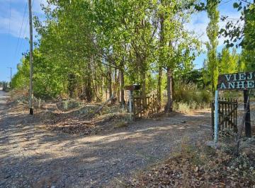 Campo · 21542m² · 3 Ambientes · Chacra en Plottier de 21.542 m²