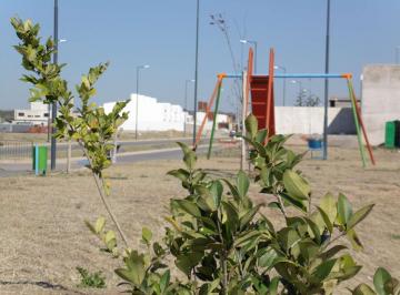 Terreno · 262m² · Lote Docta Venta
