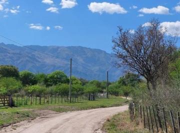 Terreno · 3500m² · Terreno de 3500 m² - Ubicado en Las Chacras - Villa de Las Rosas