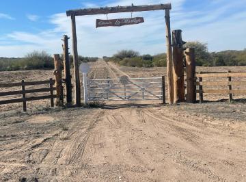 Campo de 6 ambientes, San Rafael · Se Vende Campo La Marilyn Ubicado en Distrito Cuadro Nacional, San Rafael.
