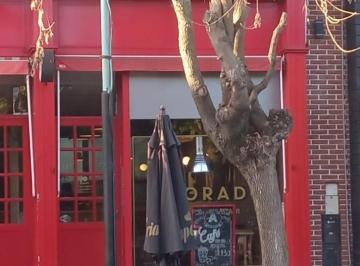 Local comercial · 80m² · Local en Venta con Renta