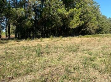 Terreno · 1200m² · Venta. Lote 1.200 m². Fincas de Lima. Zarate