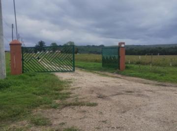 Campo · 41000m² · 41 Ha a m del Kilometro 22 de La Ruta 228.