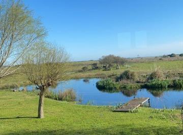 Campo de 5 ambientes, General Juan Madariaga · Venta Campo con Vivienda y Laguna General Madariaga Ideal Inversores
