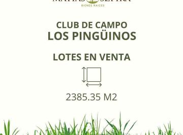 MSB-MS3-8405_2 · Lote. | Av Presidente Peron 10.298