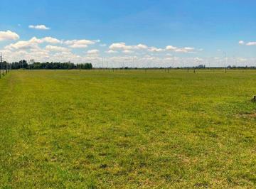 Terreno · 325m² · Venta Terrenos 325 m². Loteo Don Matias. Ricardone