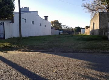 Terreno Venta · Lote de 400 m² en Zona Céntrica de Cañada Rica