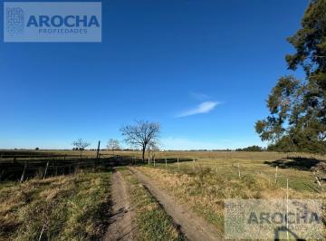 Terreno · 134ha · 1 Ambiente · Terreno 134 Ha - Florencio Varela