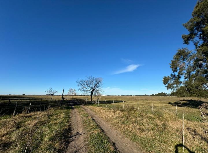 Terreno en venta en Zona rural La Capilla · 1 ambiente