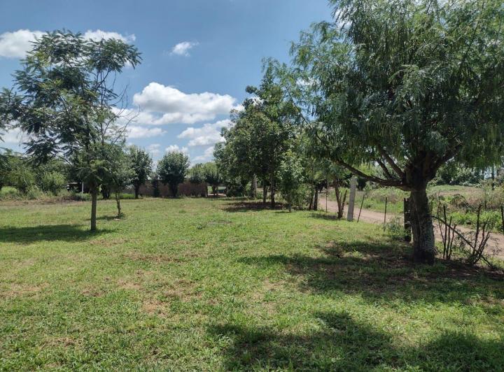 Campo · 3m²
