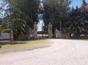 Terreno · 5000m² · Excelente Lote en Venta - Club de Campo La Cecilia