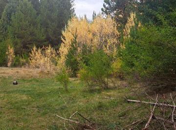 Terreno · 10000m² · Terreno de 1 Ha en Mallin Ahogado (Su - 16)