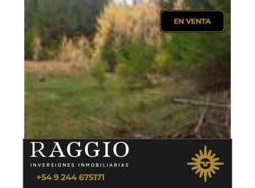 Terreno · 1ha · Terreno de 1 Ha en Mallin Ahogado (Su - 16)