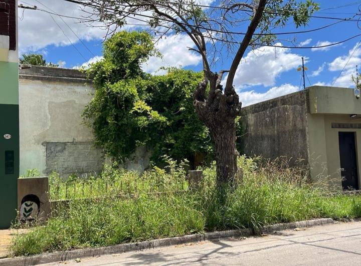 Terreno · 240m²