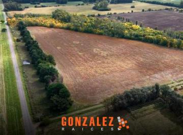 Campo · 396m² · Campo en Zarate - 37 Hectáreas