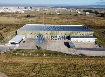 Bodega-Galpón · 4400m² · Galpon Aaa de 4.000 m² con Docks de Carga en Rpº5 Km4/5