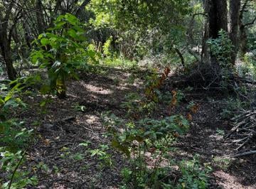 Terreno , San Martín de los Andes · Vendo Lote en El Barrio de Alihuen Alto en San Martin de Los Andes