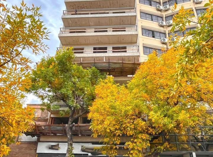 Desarrollo vertical · Alvear 500
