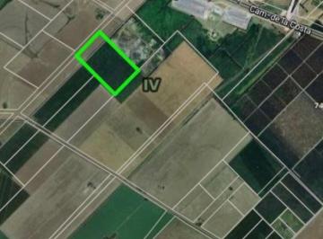 Campo · 20m² · Campo Forestado con Eucaliptus - 20 Ha